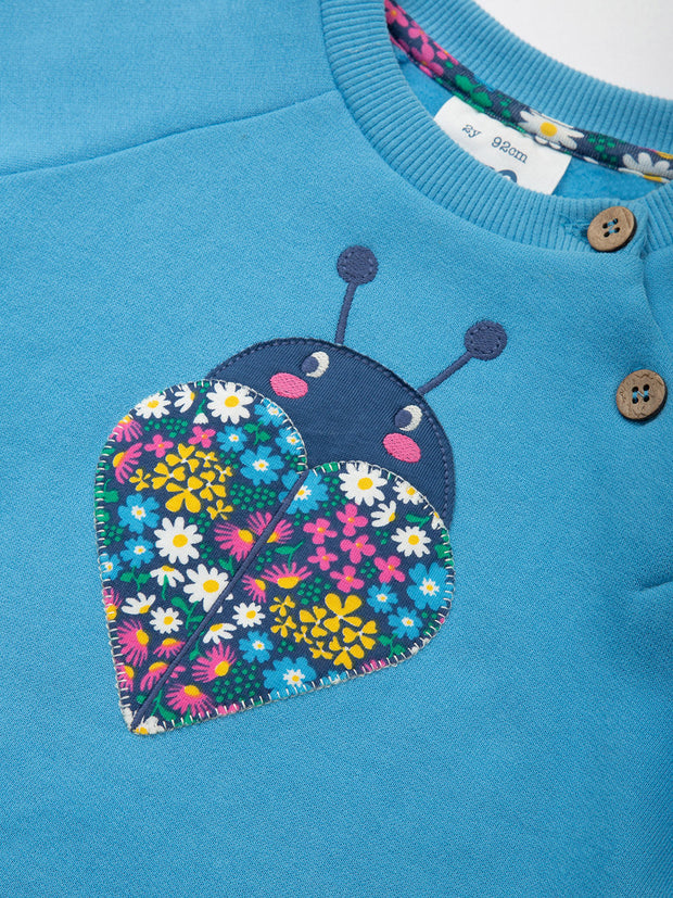 Love bug sweatshirt