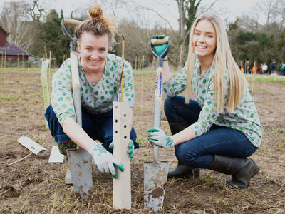 Plant a tree