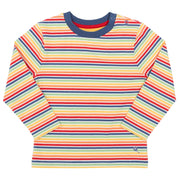 Flat shot of rainbow stripe t-shirt
