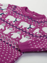 Polar pals knit dress