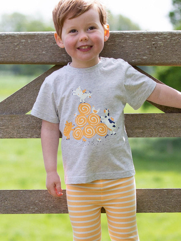 Kite - Boys organic farmyard fun t-shirt grey - Placement print - Short sleeved