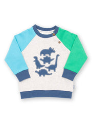 Kite - Boys organic dino play sweatshirt - Appliqué design - Ribbed neckline, cuffs and hem