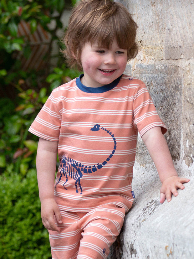 Kite - Boys organic dippy the dino t-shirt orange - Placement print - Short sleeved