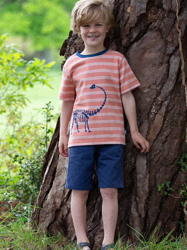 Kite - Boys organic dippy the dino t-shirt orange - Placement print - Short sleeved