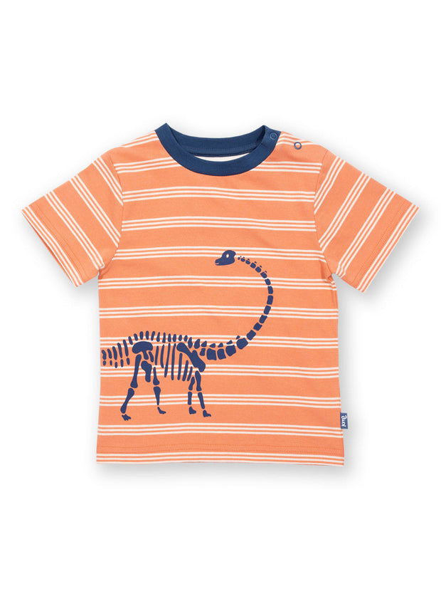 Kite - Boys organic dippy the dino t-shirt orange - Placement print - Short sleeved