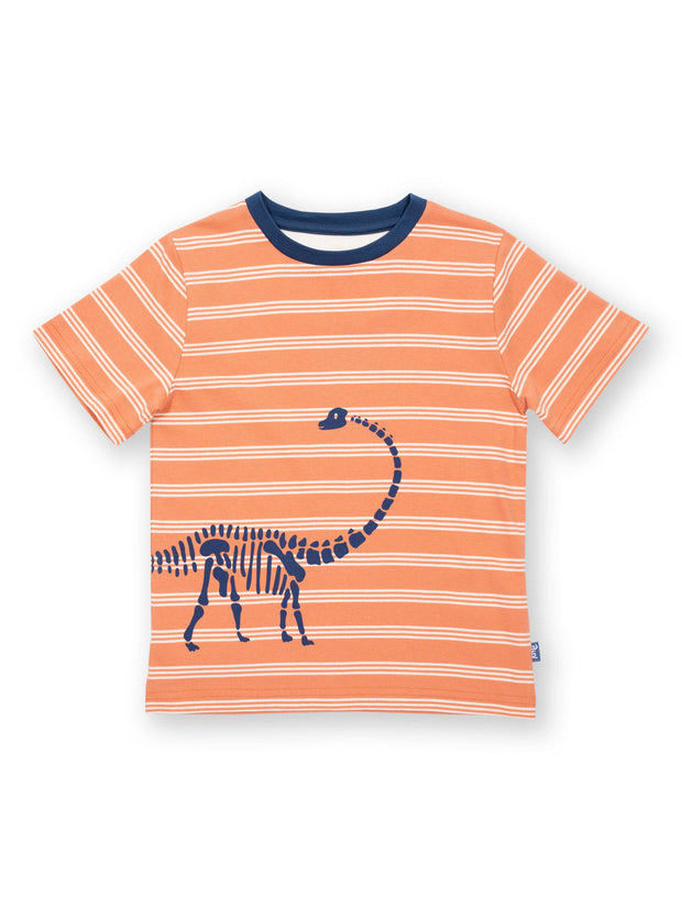 Kite - Boys organic dippy the dino t-shirt orange - Placement print - Short sleeved