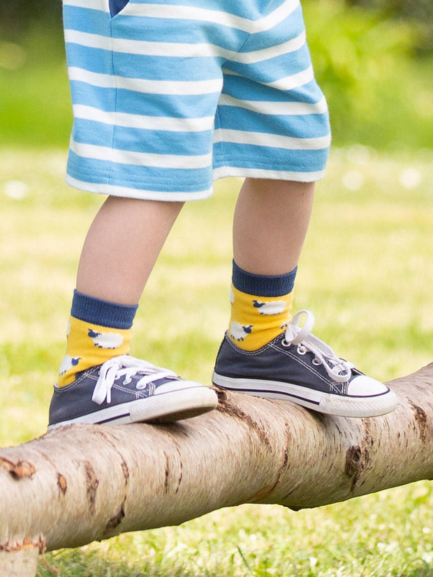 Sheep socks