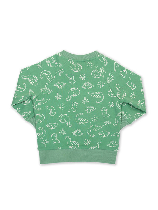 Dino earth sweatshirt