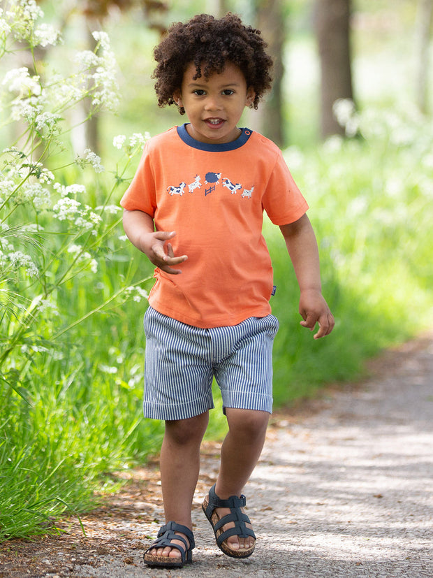 Farm fun t-shirt