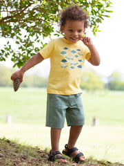 Giant tortoise t-shirt