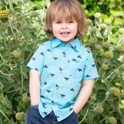 Boy in wonder whale shirt